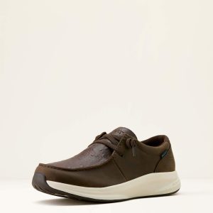 Buckeye Waterproof Shoe