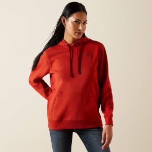 Ariat Logo 2.0 Hoodie