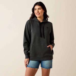 Ariat Logo 2.0 Hoodie