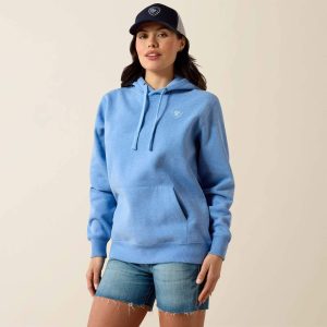 Ariat Logo 2.0 Hoodie