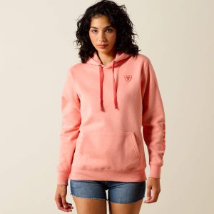 Ariat Logo 2.0 Hoodie
