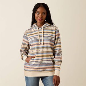 Ariat Logo 2.0 Hoodie