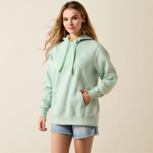 Ariat Logo 2.0 Hoodie