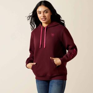 Ariat Logo 2.0 Hoodie