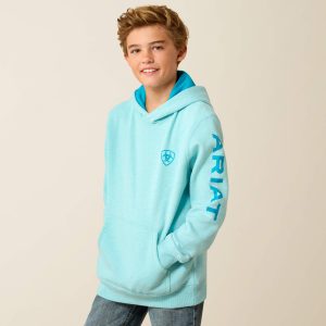 Ariat Logo Hoodie