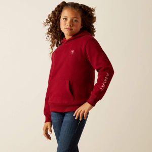 Ariat 2.0 Hoodie