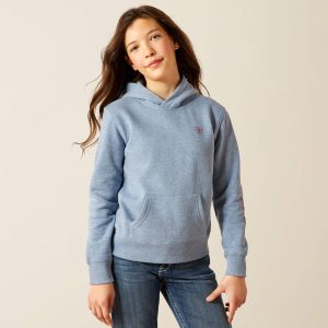 Ariat 2.0 Hoodie